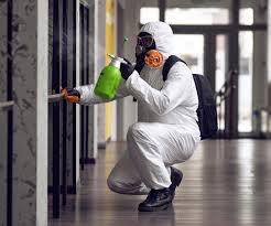 Why You Should Choose Our Mold Remediation Services in Tacoma, WA